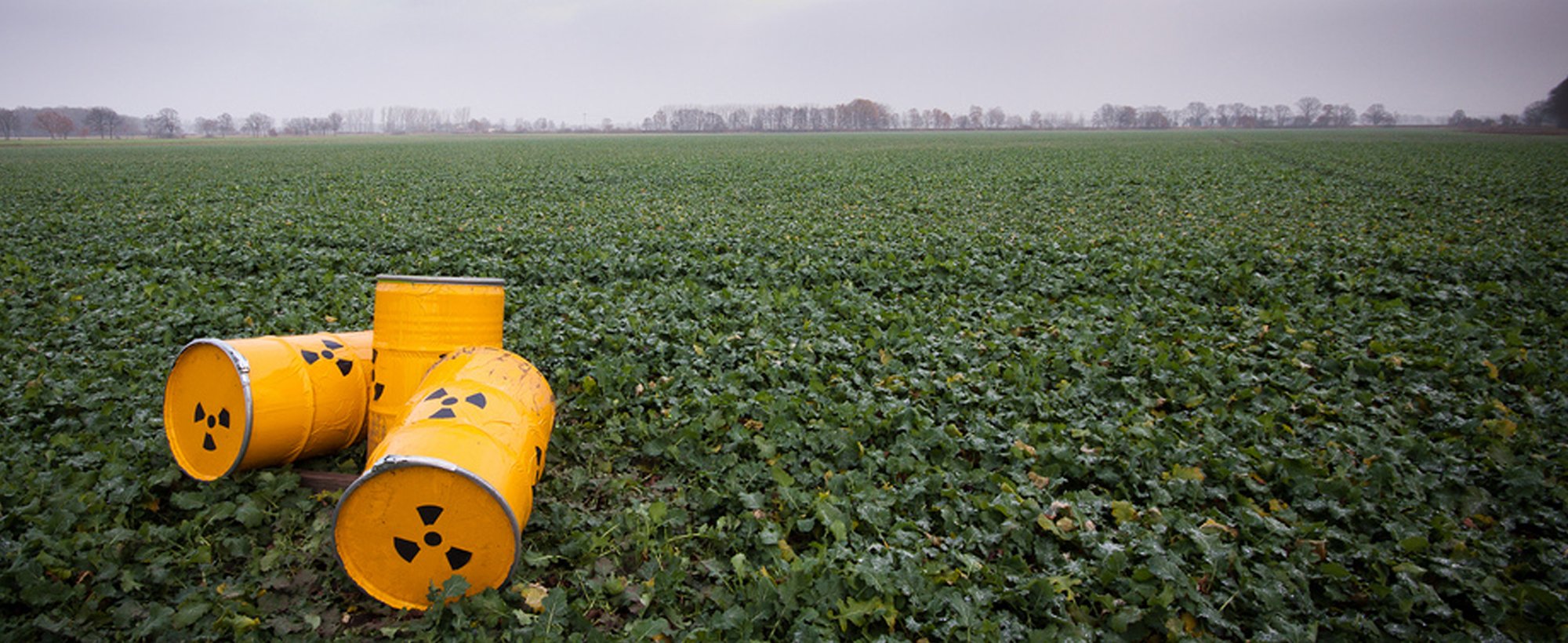 Foto: Drei Atommüllfässer liegen auf einem Feld